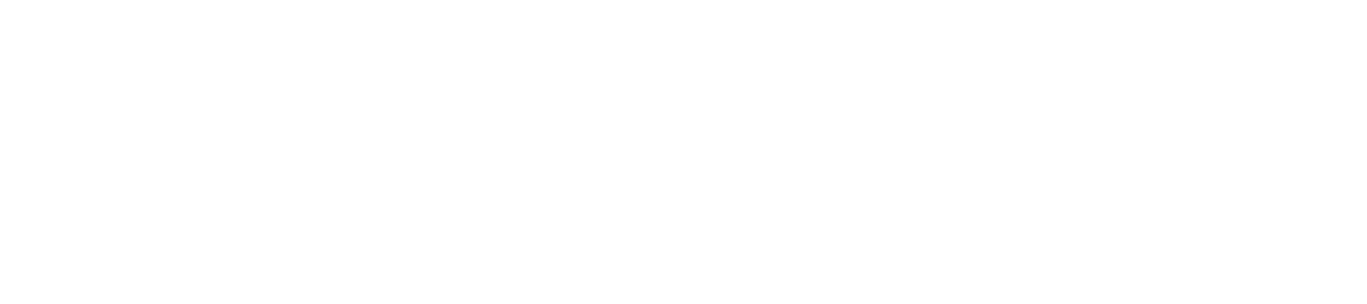 Nouvel21